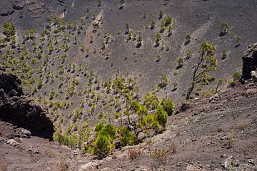 Looking into the crater by Cor de Hamer