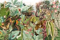 Full jungle by Jadzia Klimkiewicz thumbnail