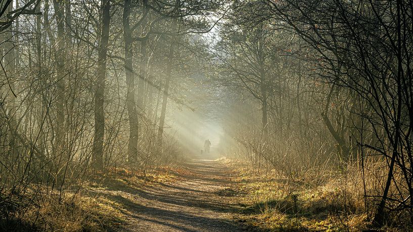 Promener le chien par Floris van Woudenberg