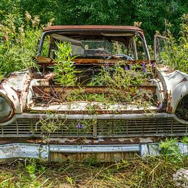 Old abandoned car taken over by nature. by Axel Weidner