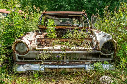 Oude verlaten auto overgenomen door de natuur.