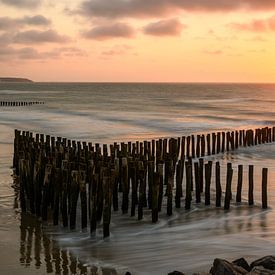 Lines in the Light by Gerry van Roosmalen