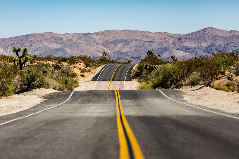 Joshua Tree National park. van Martijn Bravenboer