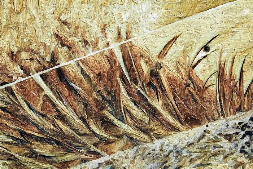 Feder Textur Ästhetik von Bildarten