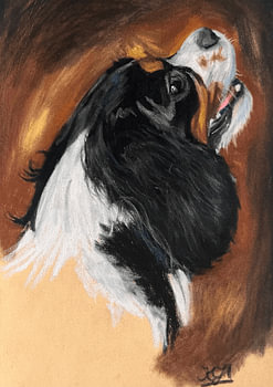Max, le Cavalier King Charles Spaniel