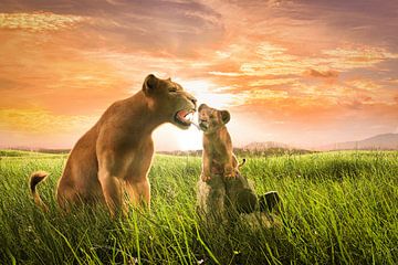 Lioness with cub by Arjen Roos