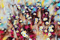Daisies in a colorful meadow