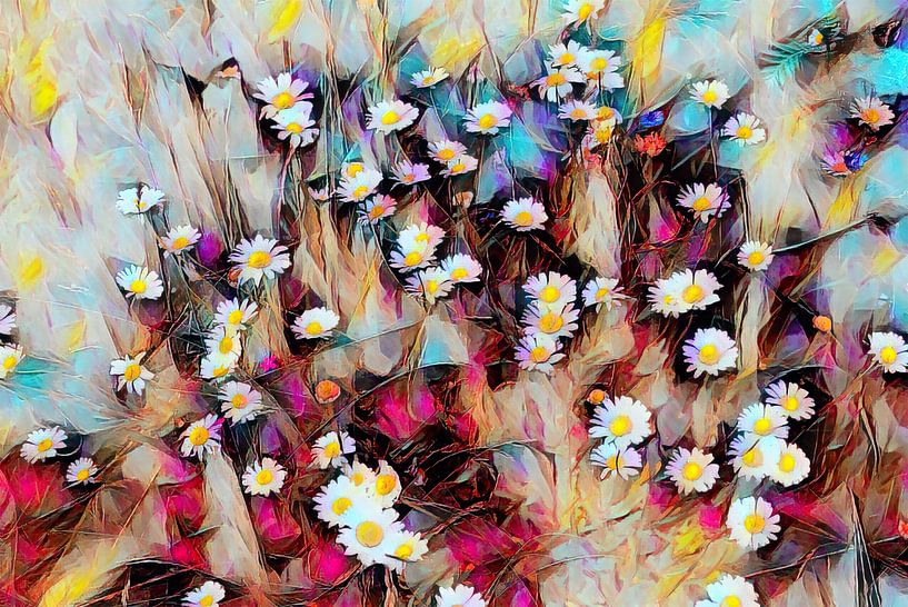 Marguerites dans une prairie colorée par Patricia Piotrak