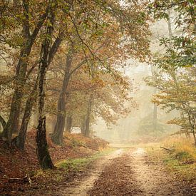 Road to Autumn by P Leydekkers - van Impelen