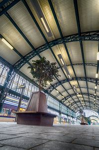 Bahnhof 's-Hertogenbosch