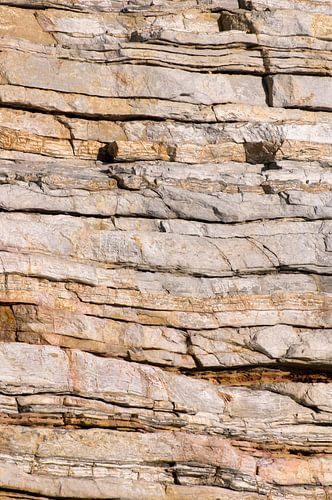 Ursprung der Erde #4 von Margot van den Berg