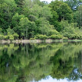 The lake in the forest by whmpictures .com