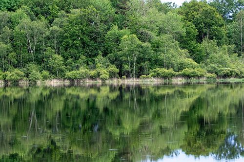 Het meer in het bos van whmpictures .com