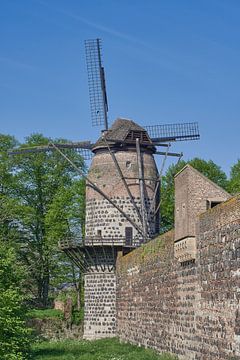 Windmühle in Zons