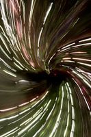twist
