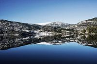 Reflexion in Farbe 1