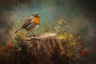Rotkehlchen - Malerei von Joriali Fotografie und Gemälde Miniaturansicht
