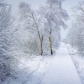 Magische Winterlandschaft in Belgien von Eus Driessen