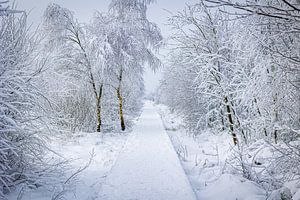 Magical winter landscape in Belgium
