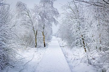 Magische Winterlandschaft in Belgien