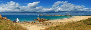 Panorama van de kust van Bretagne