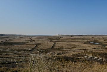 The Slufter by Albert Rap