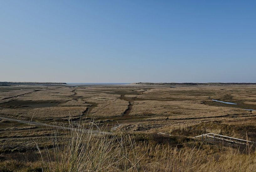 The Slufter by Albert Rap