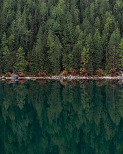 Trees in reflection by Saranda Hofstra