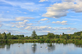 Lakeside scenery at the Schwackenreuter Lakes with swans by BlattArt - Christine Horn