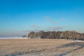 Winterlandschap rond Gulpen-Wittem, Zuid Limburg. van Marjolein Zijlstra