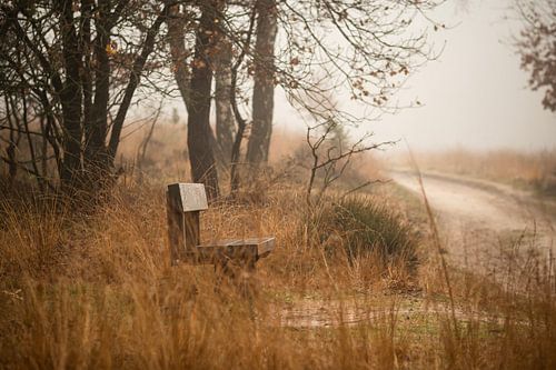 Bankje in de mist