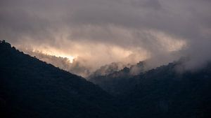 Sunrise over the jungle in Kenya