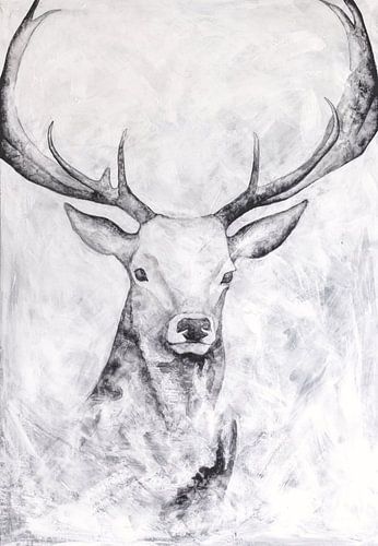 Stag watercolour