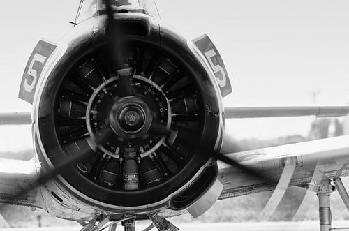 Trojanischer Propeller