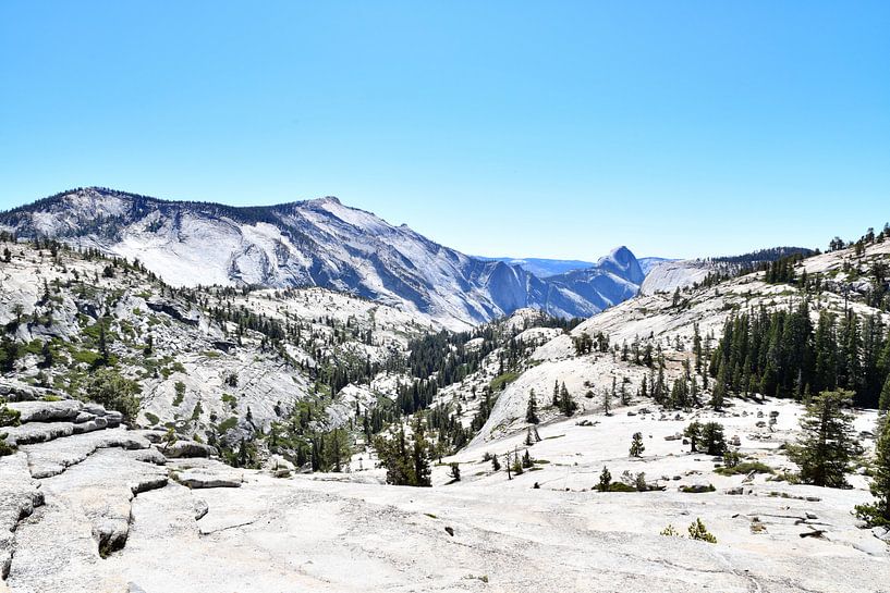 Yosemite National Park Tioga Pass Blick von Robert Styppa