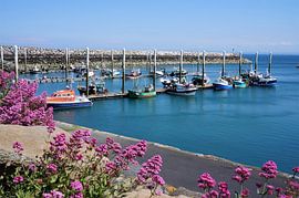 Bateaux dans l’attrayant port de Saint Quay Portrieux Bretagne sur Sandra van der Burg