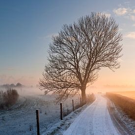 Snow, Fog and a beautiful Sunrise on the Ooijpolder by Luc van der Krabben