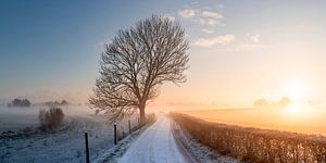 Sneeuw, Mist en een prachtige Zonsopgang op de Ooijpolder van Luc van der Krabben