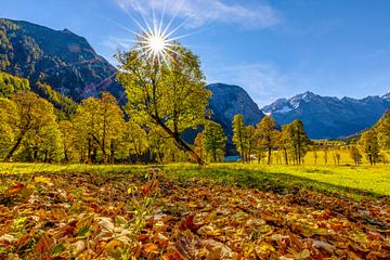 Autumn magic at Ahornboden by Christina Bauer Photos