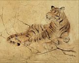 Global Tiger Light Crop, Cheri Blum van Wild Apple thumbnail