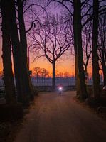 Fietser met zonsopgang in Amelisweerd.