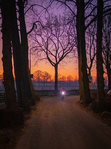 Cycliste au lever du soleil à Amelisweerd. sur Michael Van de burgt