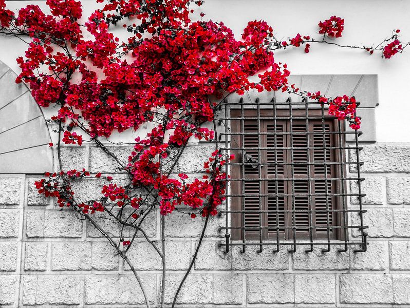 Spanish Window von Eric Nagel