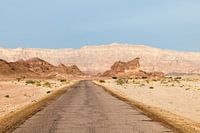 timna national park in israel in the negev woestijn