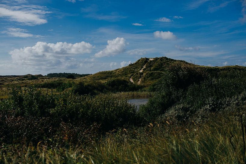Paysage de dunes de Terschelling par Studio kleine vos