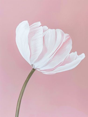Delicate White Flower on Soft Pink