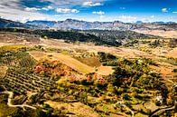 Mountain landscape Serrania de Ronda near Ronda in Andalusia Spain by Dieter Walther thumbnail