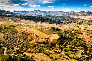 Gebirge Landschaft Serrania de Ronda bei Ronda in Andalusien Spanien