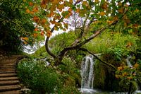 Waterval in Nationaal Park Plitvicemeren