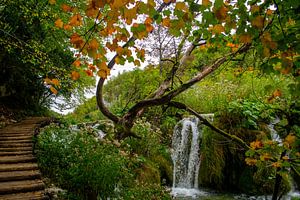 Wasserfall im Nationalpark Plitvicer Seen von Claudia Esveldt